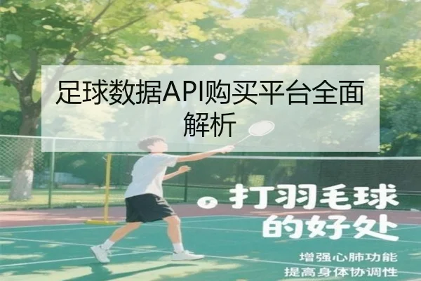 足球数据API购买平台全面解析