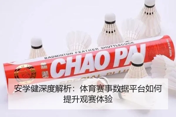 安学健深度解析：体育赛事数据平台如何提升观赛体验