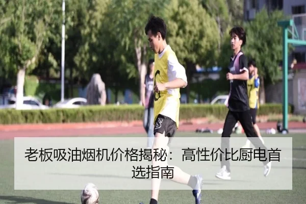 老板吸油烟机价格揭秘：高性价比厨电首选指南