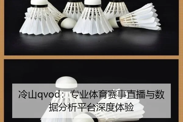冷山qvod：专业体育赛事直播与数据分析平台深度体验