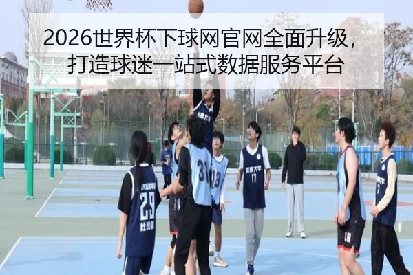 2026世界杯下球网官网全面升级，打造球迷一站式数据服务平台